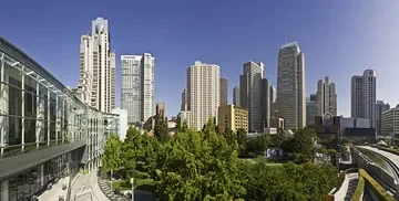 Yerba Buena