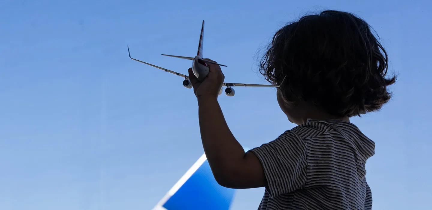 Strategic Plan Robin with Plane