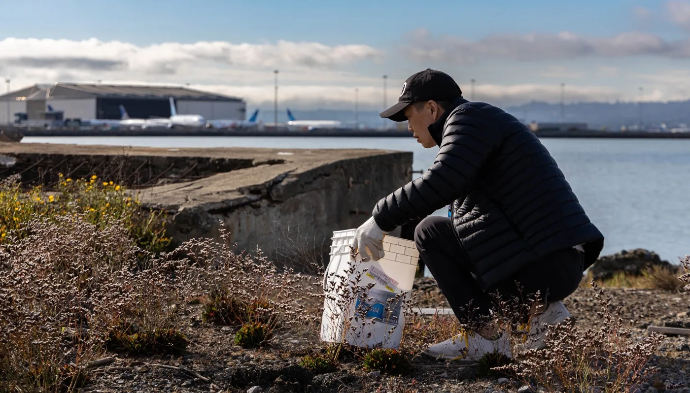 coastal cleanup
