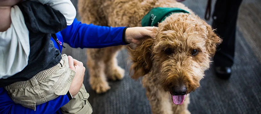 Wag Brigade member at SFO