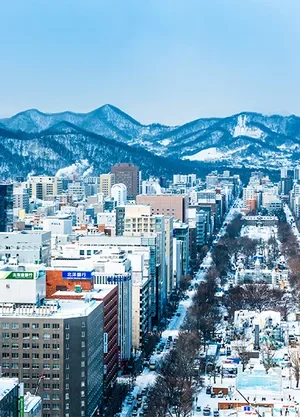 Aerial view of Sapporo, Japan