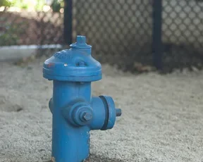 Hydrant at the animal relief outdoor facility at SFO
