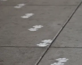 Paw prints indicating the location of an outdoor animal relief facility at SFO